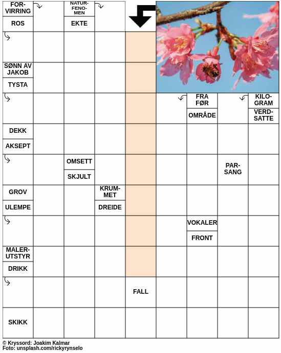 Dagens kryssord – 7. Mars - 2024