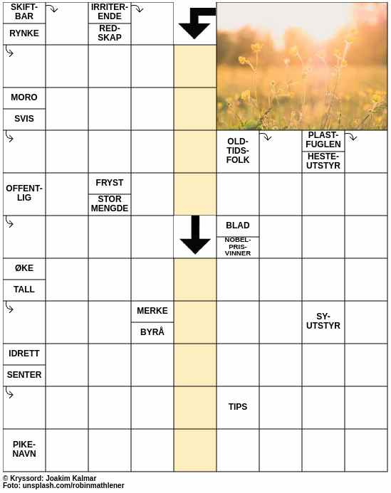 Dagens kryssord – 9. Mars - 2024