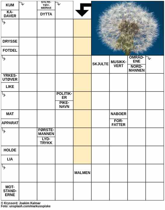 Dagens kryssord – 10. April - 2024
