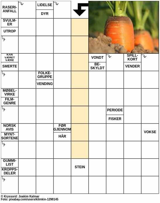 Dagens kryssord – 12. April - 2024