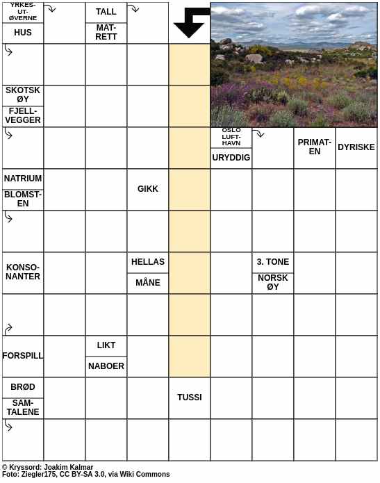 Dagens kryssord – 13. April - 2024