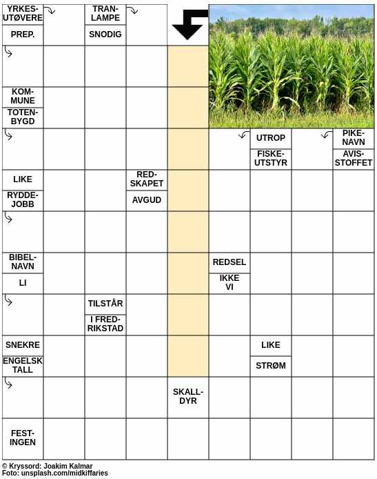 Dagens kryssord – 2. Mai - 2024