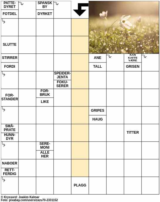 Dagens kryssord – 8. Mai - 2024