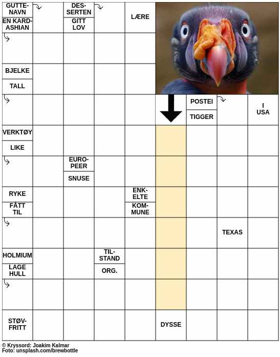 Dagens kryssord – 11. Mai - 2024