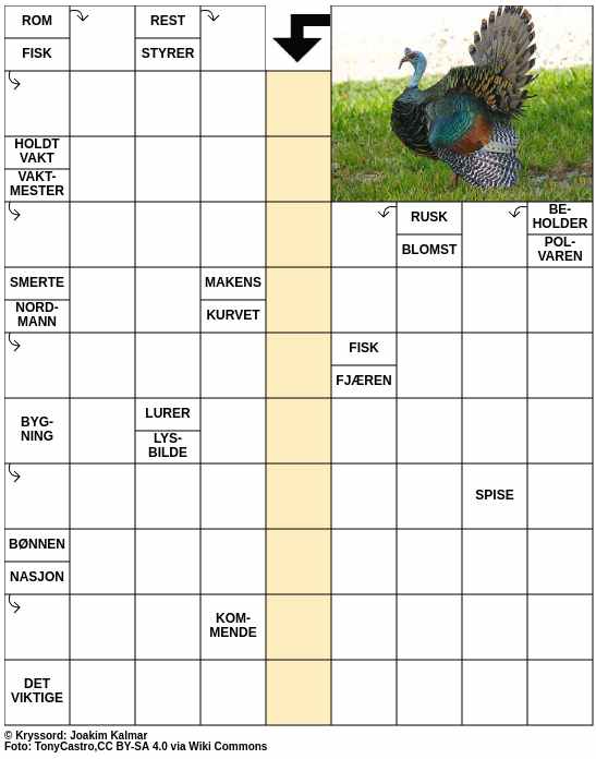 Dagens kryssord – 15. Mai - 2024