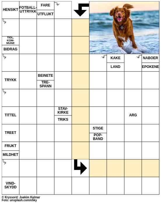 Dagens kryssord – 29. Mai - 2024