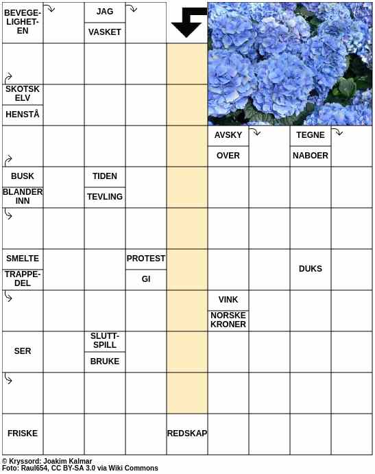 Dagens kryssord – 9. Juni - 2024