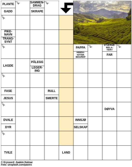 Dagens kryssord – 4. Juni - 2024
