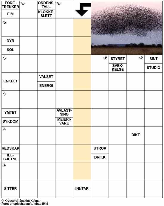 Dagens kryssord – 6. Juni - 2024