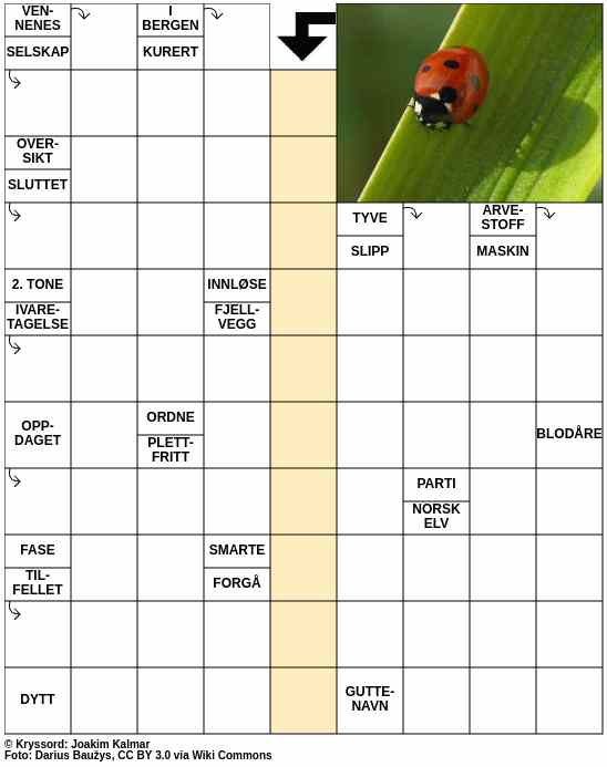 Dagens kryssord – 8. Juni - 2024