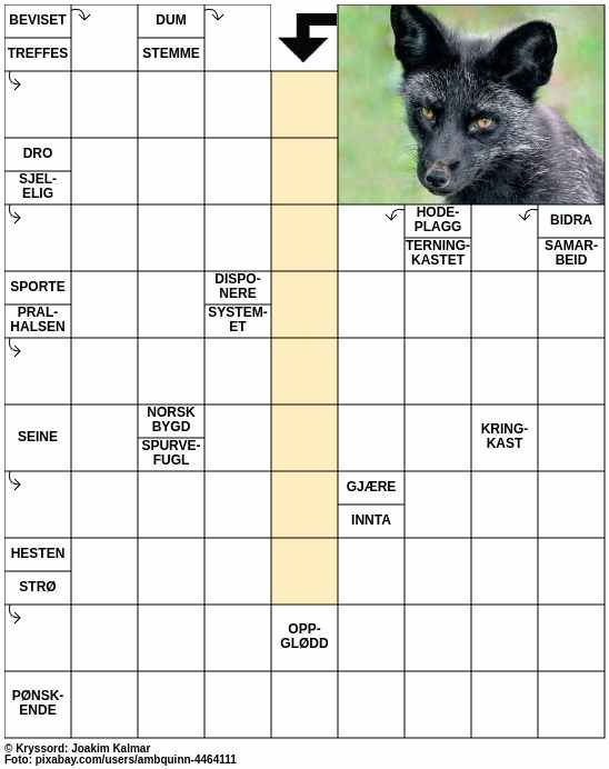 Dagens kryssord – 25. Juni - 2024