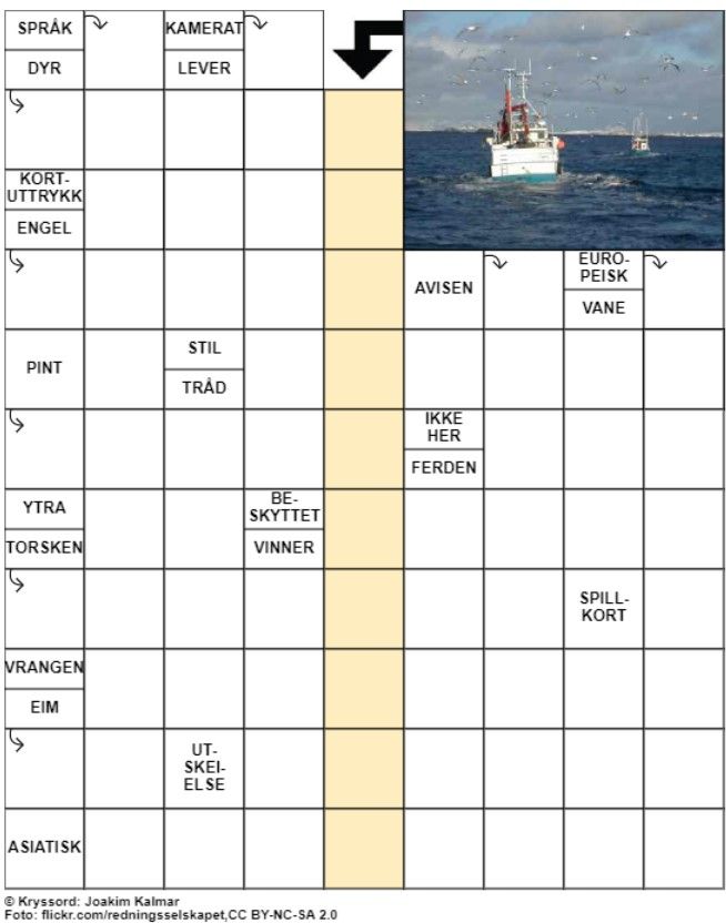 Dagens kryssord – 22. Juli - 2024