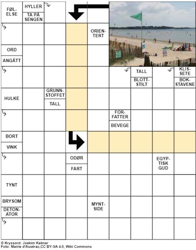 Dagens kryssord – 28. Juli - 2024