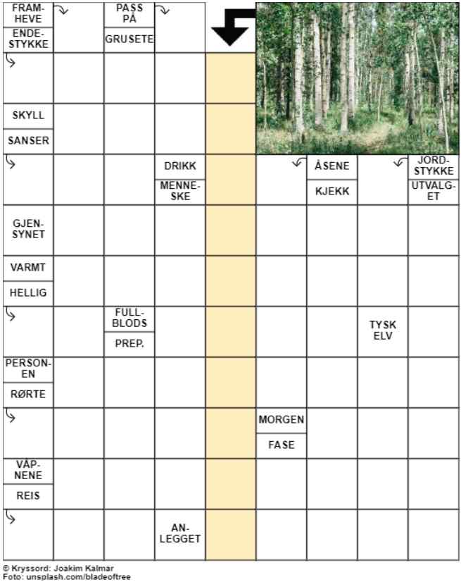 Dagens kryssord – 7. August- 2024