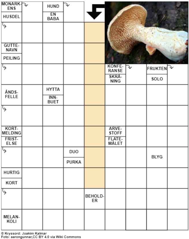 Dagens kryssord – 11. August- 2024