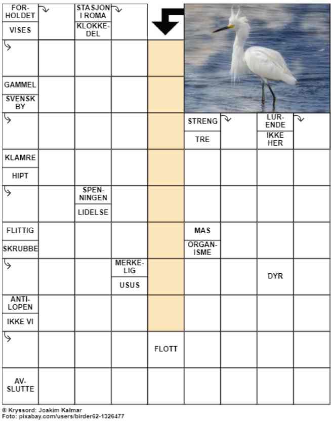 Dagens kryssord – 12. August- 2024