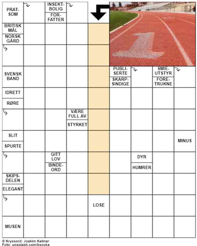 Dagens kryssord – 13. August- 2024