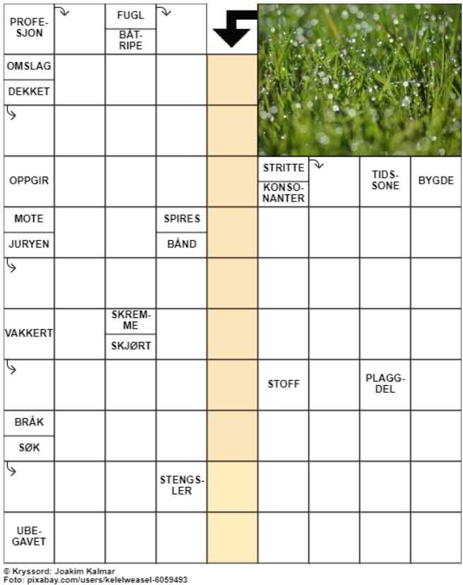 Dagens kryssord – 14. August- 2024