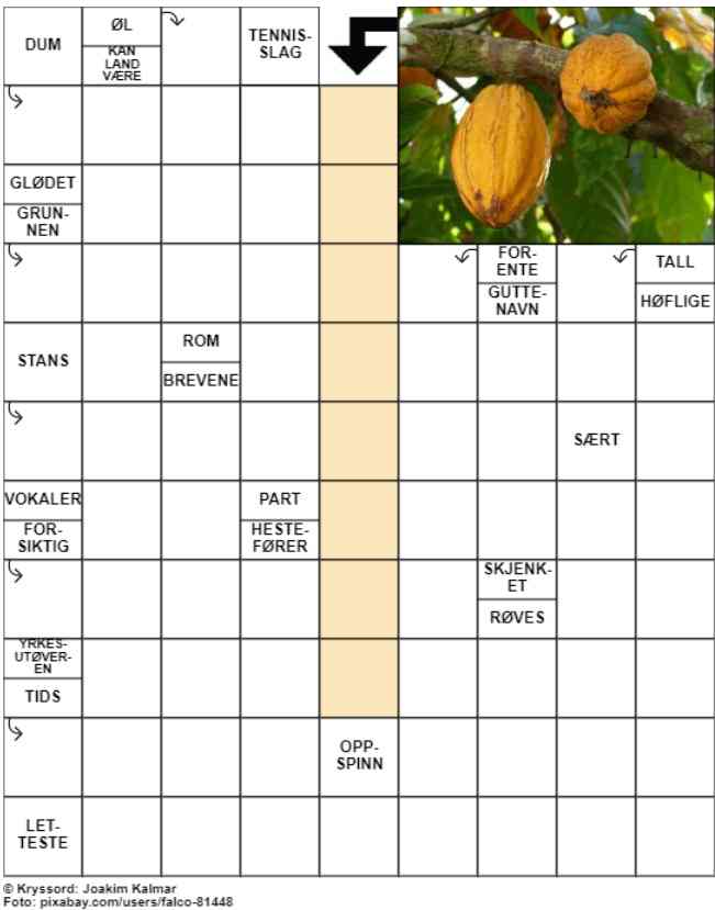 Dagens kryssord – 17. August- 2024