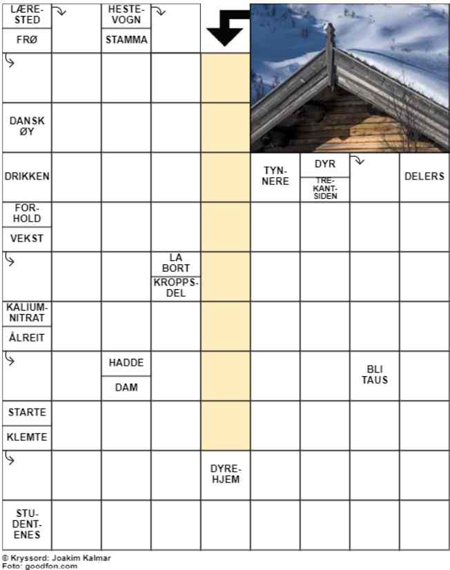 Dagens kryssord – 20. August- 2024