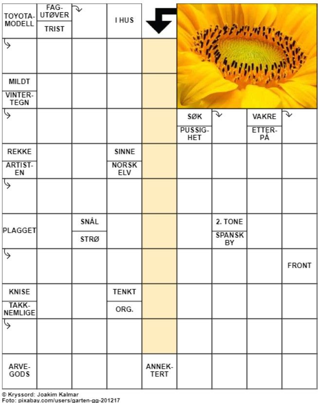 Dagens kryssord – 22. August- 2024