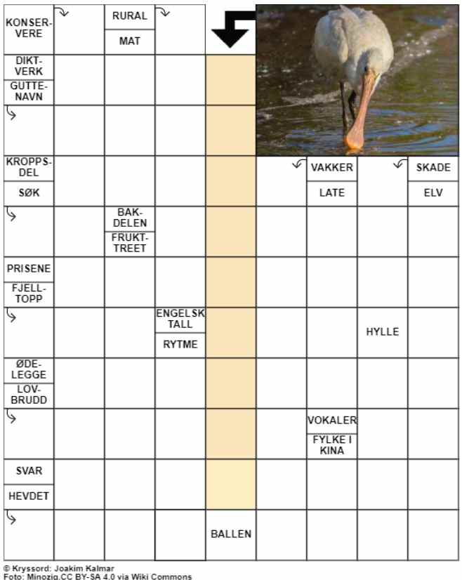 Dagens kryssord – 29. August- 2024
