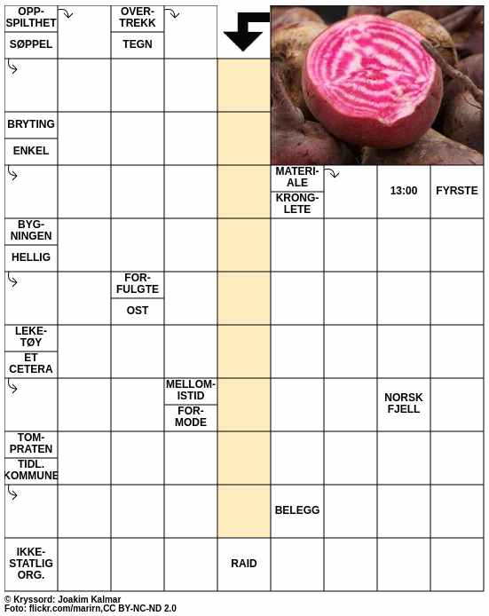 Dagens kryssord – 5. September - 2024