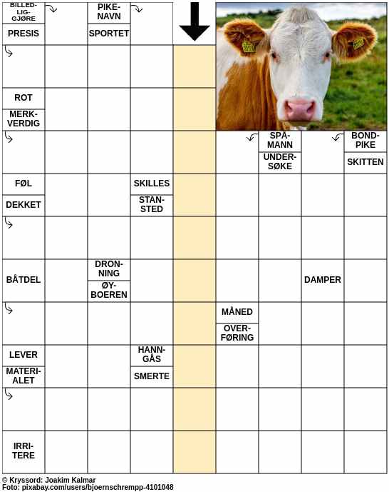 Dagens kryssord – 1. Oktober - 2024