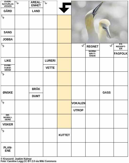 Dagens kryssord – 6. September - 2024