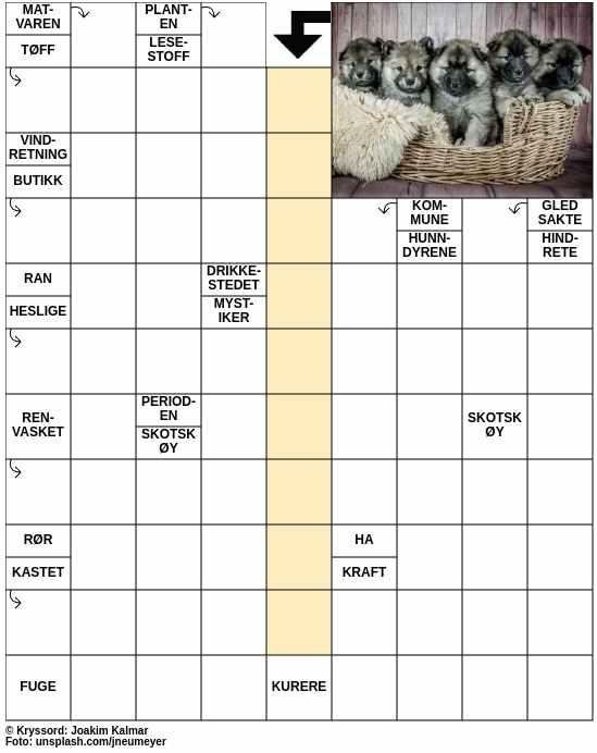 Dagens kryssord – 9. September - 2024