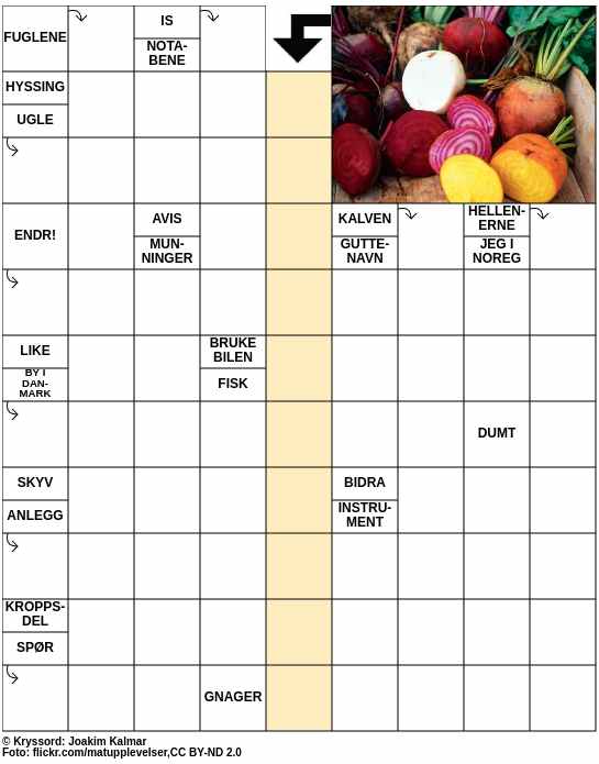 Dagens kryssord – 11. September - 2024