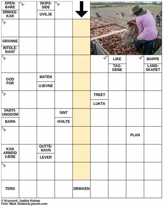 Dagens kryssord – 5. Oktober - 2024