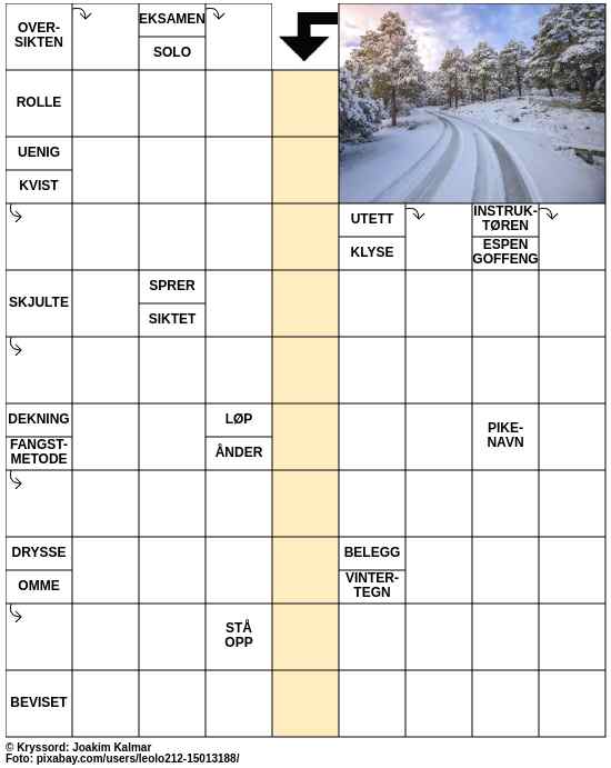 Dagens kryssord – 8. November - 2024