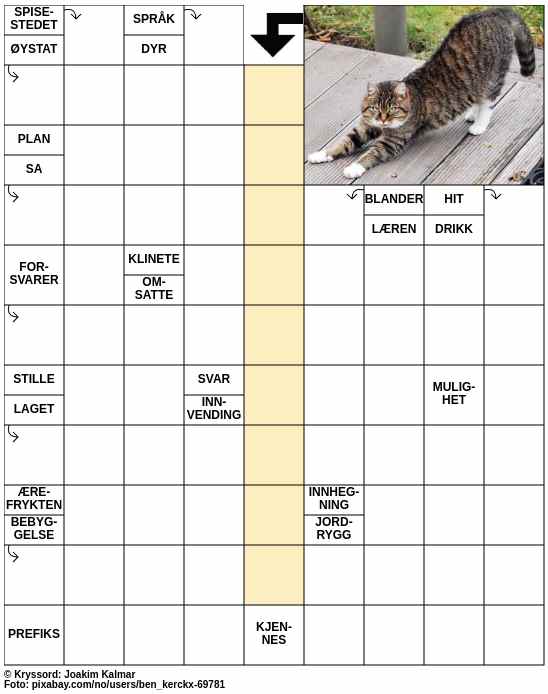 Dagens kryssord – 11. November - 2024