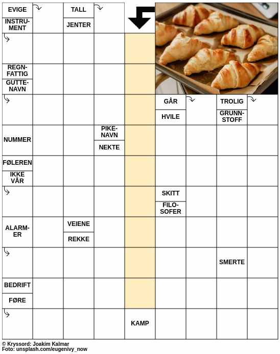 Dagens kryssord – 13. November - 2024