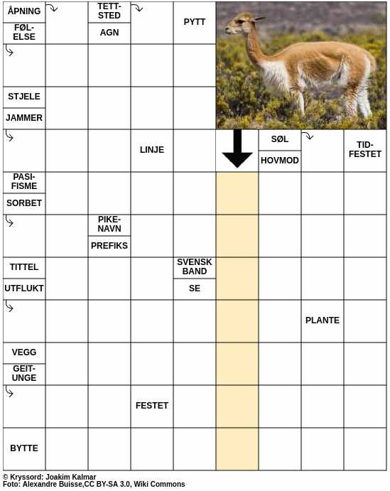 Dagens kryssord – 14. November - 2024