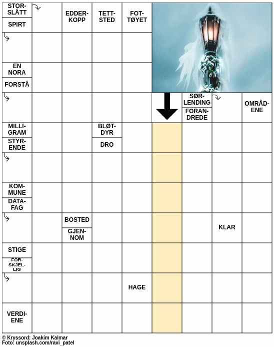 Dagens kryssord – 5. Januar - 2025