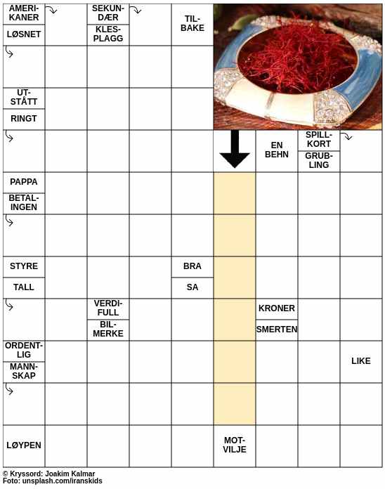 Dagens kryssord – 6. Januar - 2025
