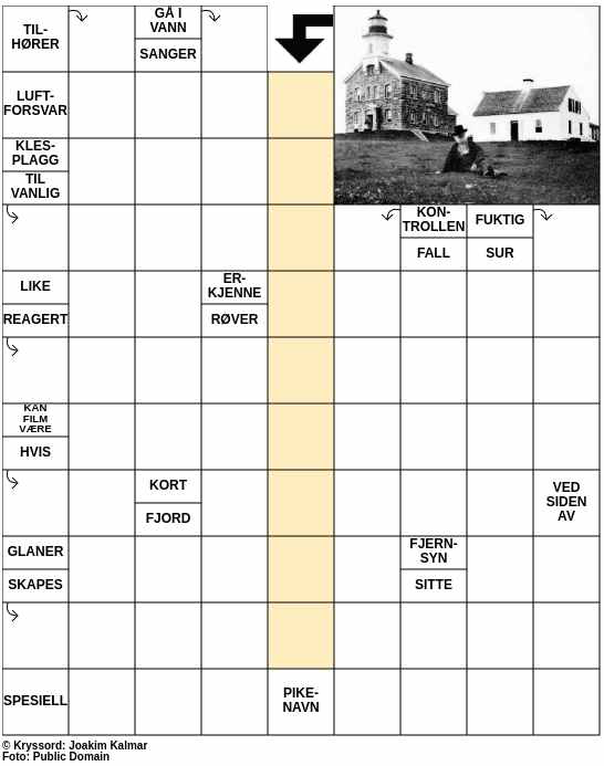 Dagens kryssord – 8. Januar - 2025