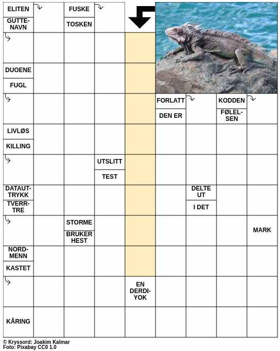 Dagens kryssord – 10. Januar - 2025