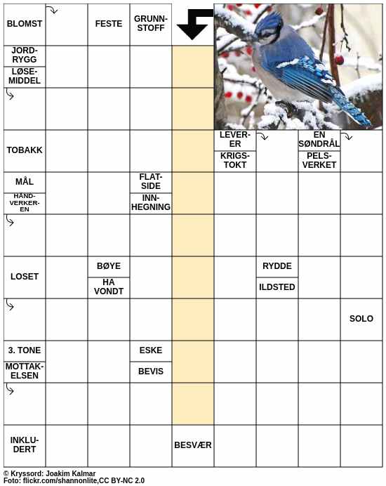 Dagens kryssord – 12. Januar - 2025