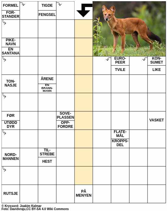 Dagens kryssord – 17. Januar - 2025