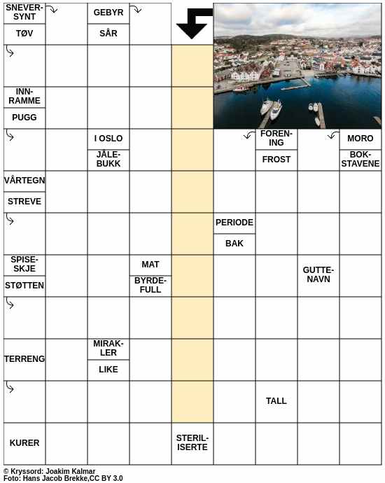 Dagens kryssord – 20. Januar - 2025