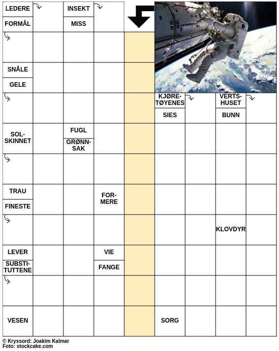 Dagens kryssord – 26. Januar - 2025