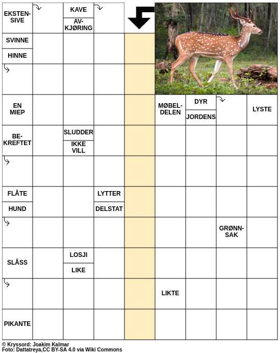 Dagens kryssord – 28. Januar - 2025