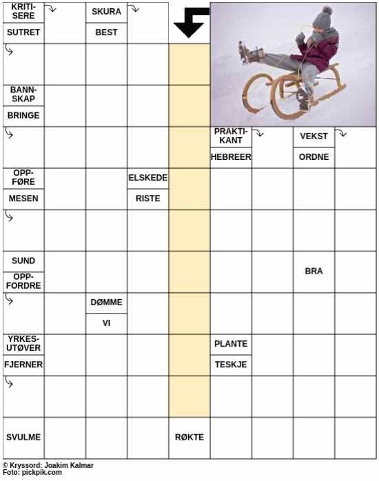 Dagens kryssord – 30. Januar - 2025