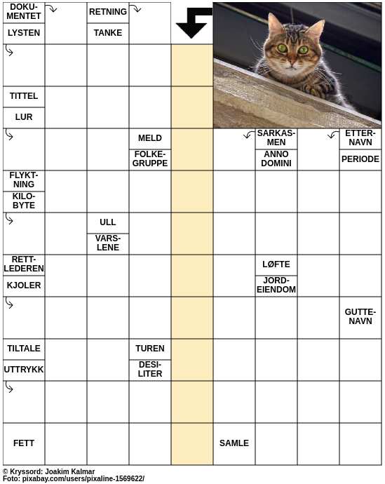 Dagens kryssord – 22. Februar - 2025