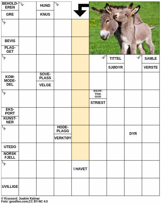 Dagens kryssord – 26. Februar - 2025