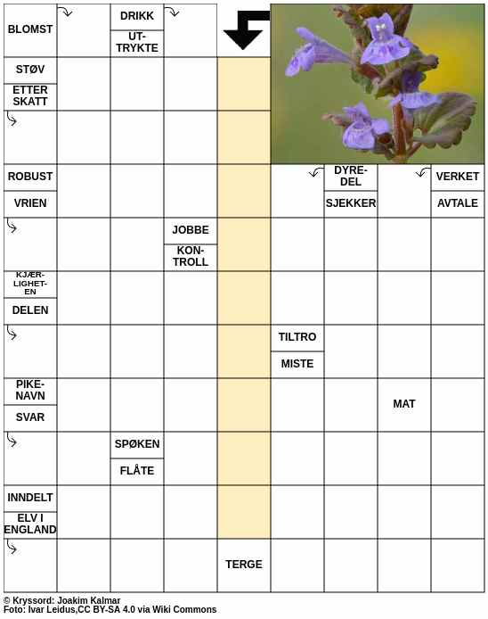 Dagens kryssord – 5. Mars - 2025