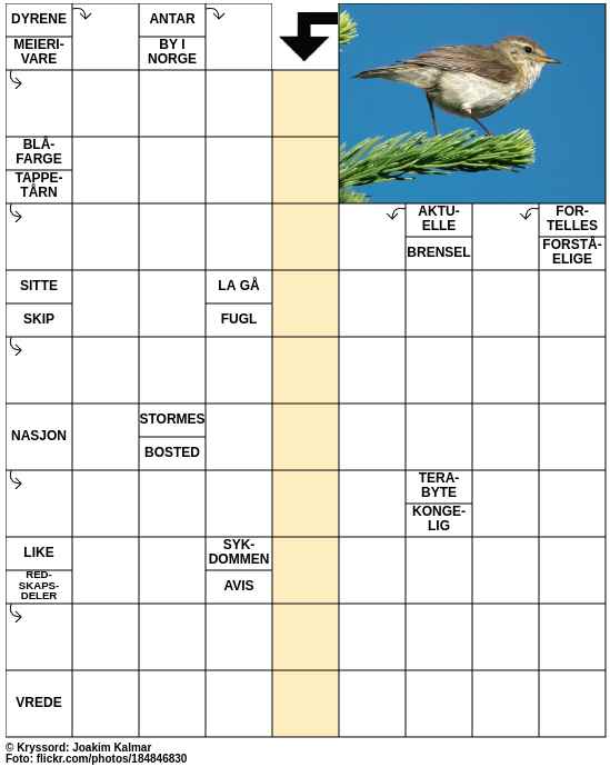 Dagens kryssord – 6. Mars - 2025